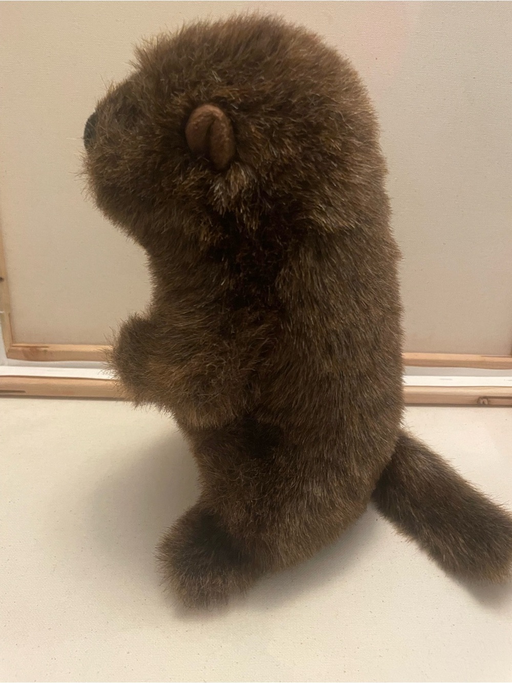 Chuckwood The Woodchuck Retired Douglas Plush stuffed animal brown realistic - Picture 5 of 6